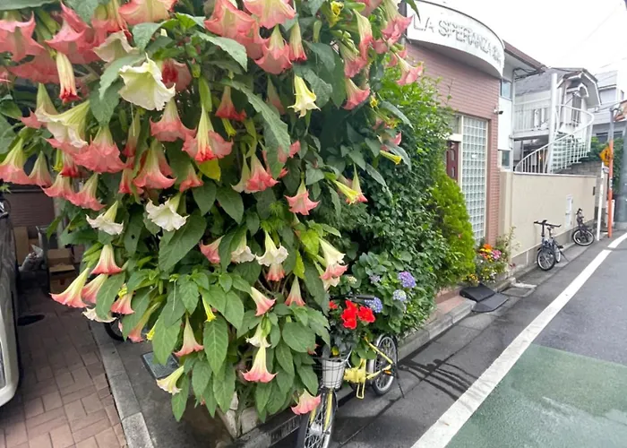 新宿庭院の屋-Shinjuku Garden Home -28 Square Meters King Size Bed Garden Room