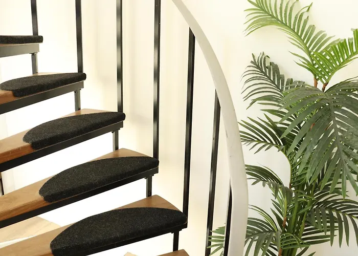 Coolest Apartments In Haarlem City - Close To Beach And Amsterdam