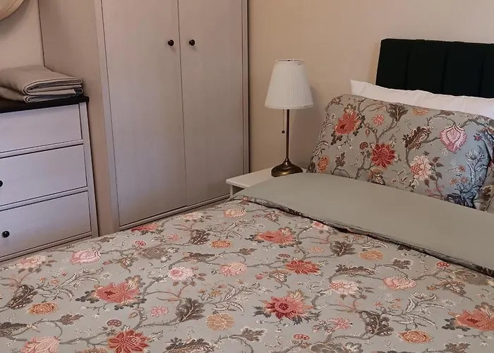 Stylish Comfortable
