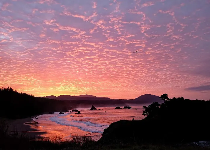 The Cove At Port Orford - 5 Ocean Front Suites