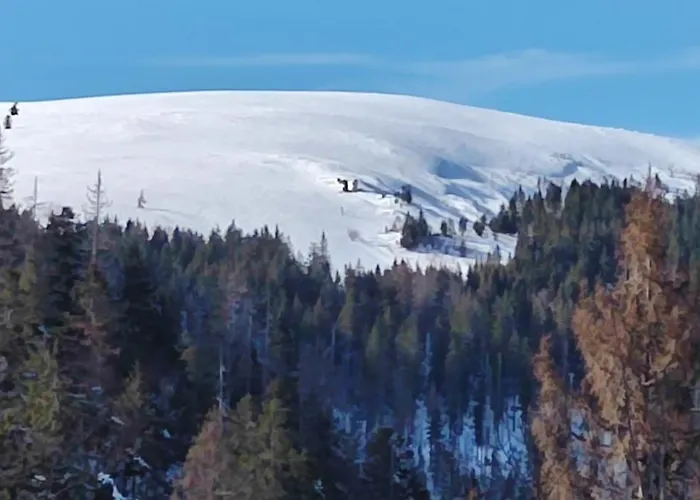 Schicke Ferien Wohnung Mit Tollem Ausblick In Schwarzwald.