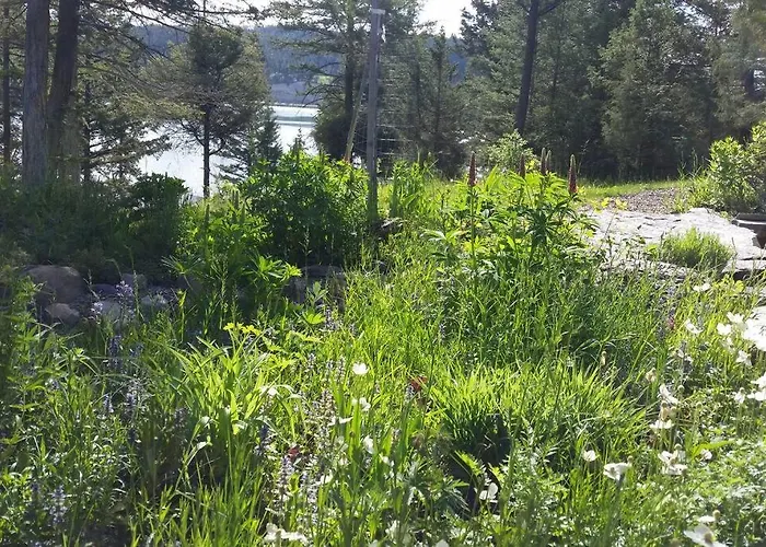 Cottage At Foys Lake Montana