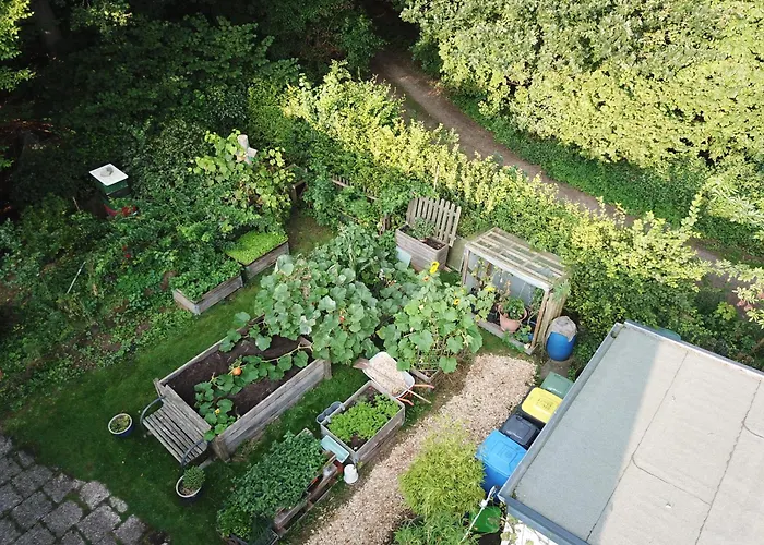 Ruhige Ferienwohnung „Suedhang“ Direkt Am Wald