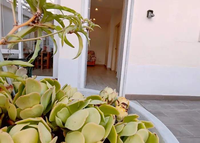 Seixal Bay Village - Family Choice
