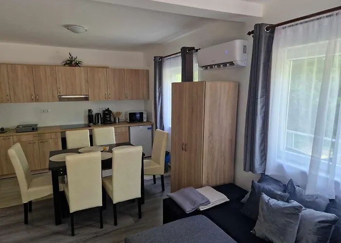 Sarudi Wellness Apartman