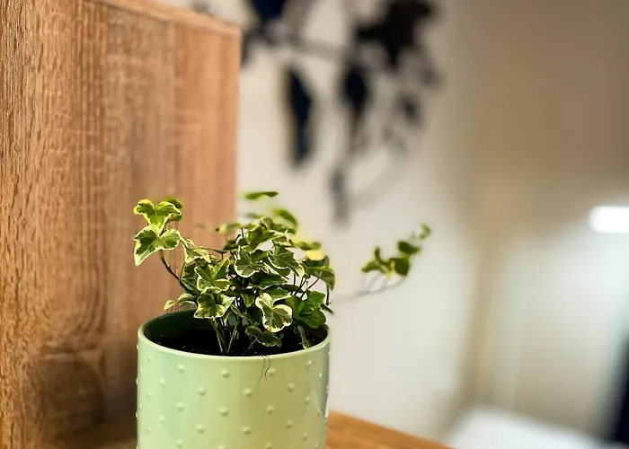 Citypark Apartma