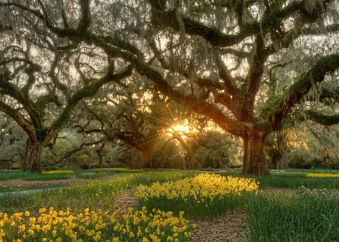 Pawleys Island Retreat!