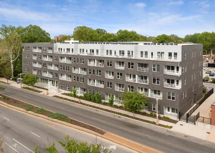 Luxury 1 Bedroom Apartment Near Tower Grove Park