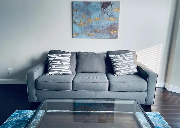 St Louis 2Bd 2Ba, Forest Park, Bj Hospital, Science Center, Eats