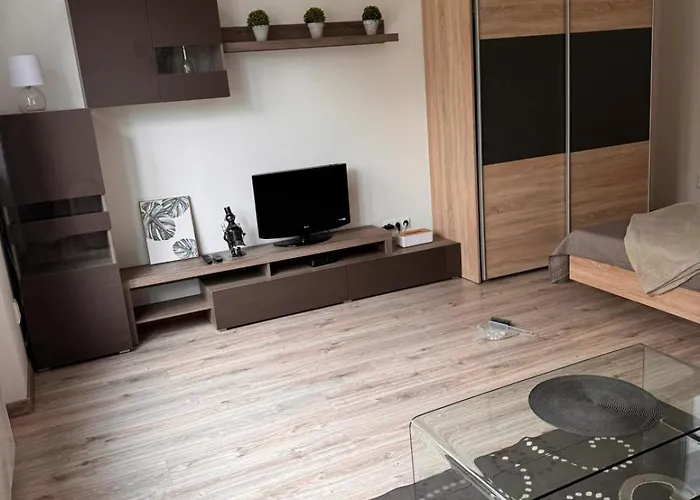 Apartman Ruza7