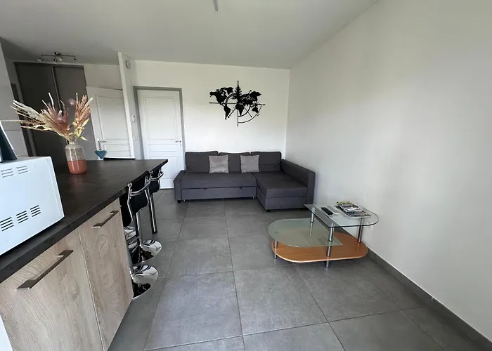 Vue Lac - T2 Renove - Parking - 4 Pers