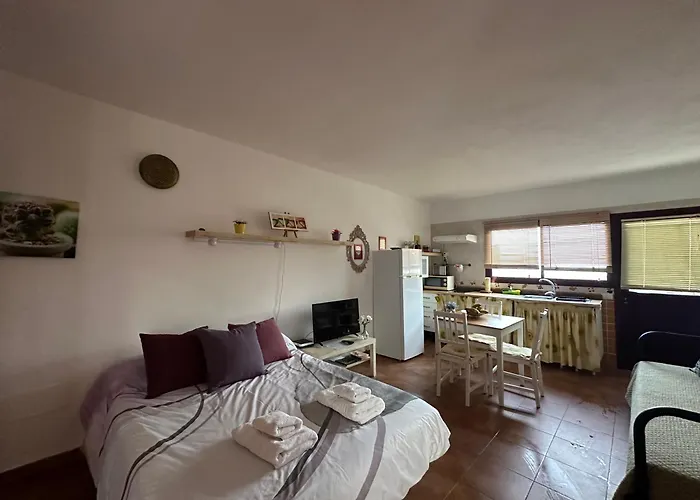 Estudio con terraza