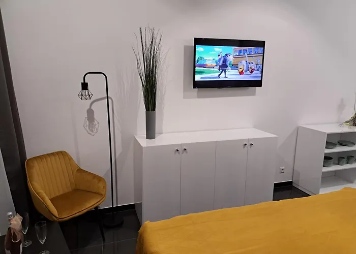 Schwarzwald City Loft 1