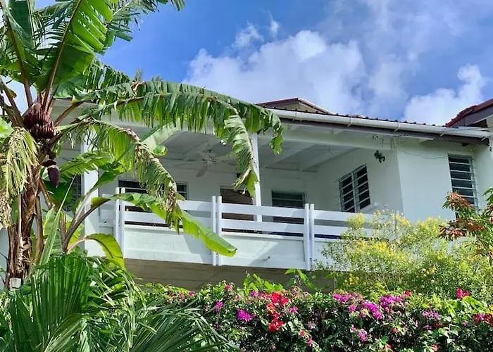 Paradise View At Halcyon Heights L Stunning Ocean View 1Br L 10 Minute Walk To The Beach