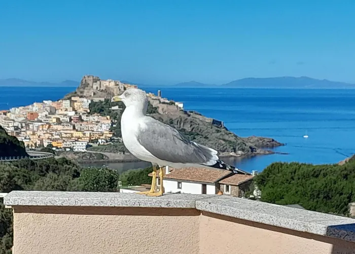 bella vista