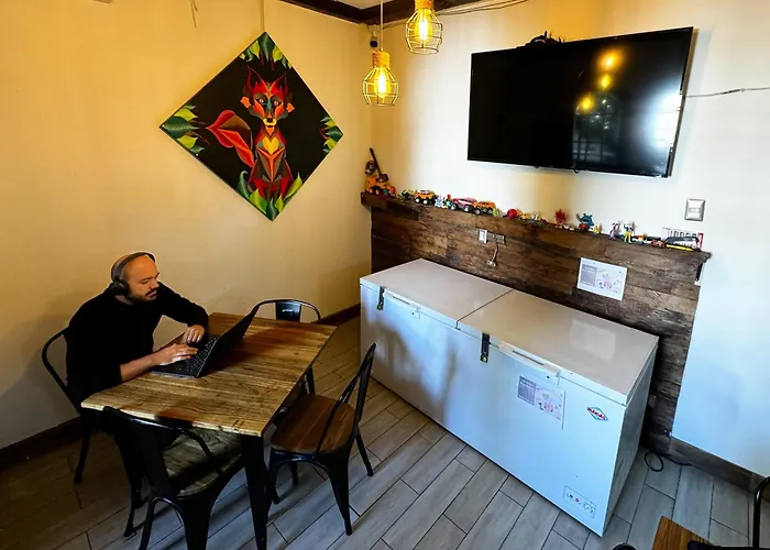 The Fox Hostel