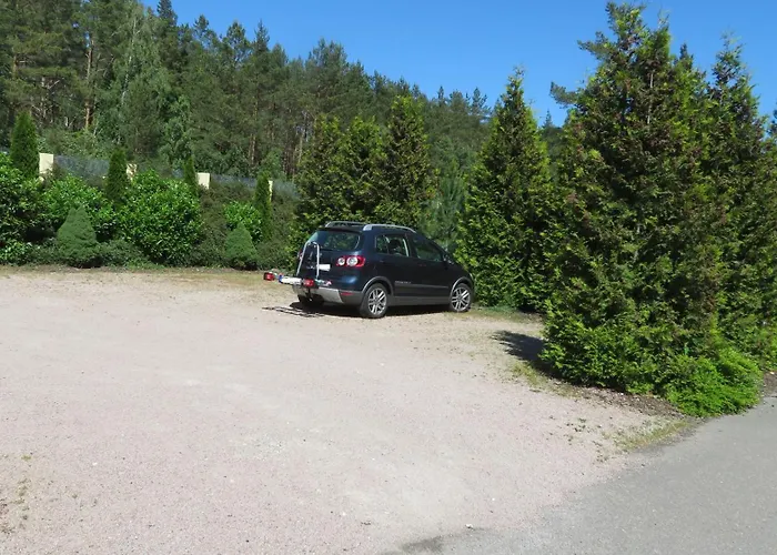 Fledermaus 1 Punkt 6