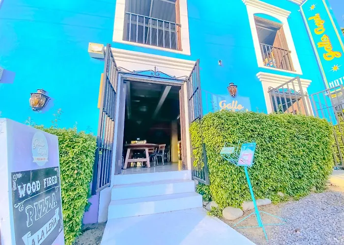 Gallo Azul Hotel, En El Corazon De Todos Santos