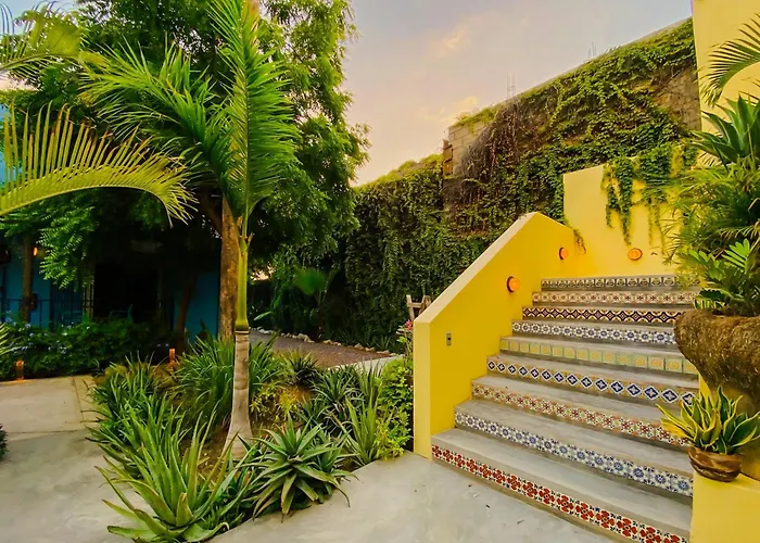Gallo Azul Hotel, En El Corazon De Todos Santos