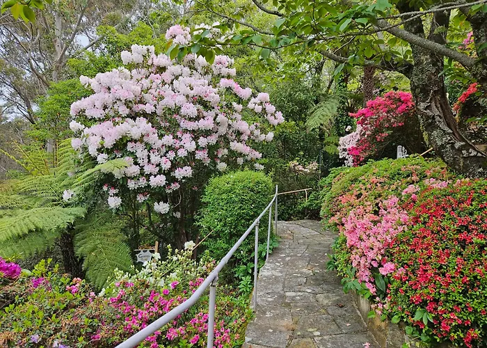 Dalia'S Blue Mountain Retreat