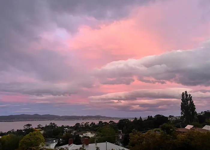 Vista Bliss