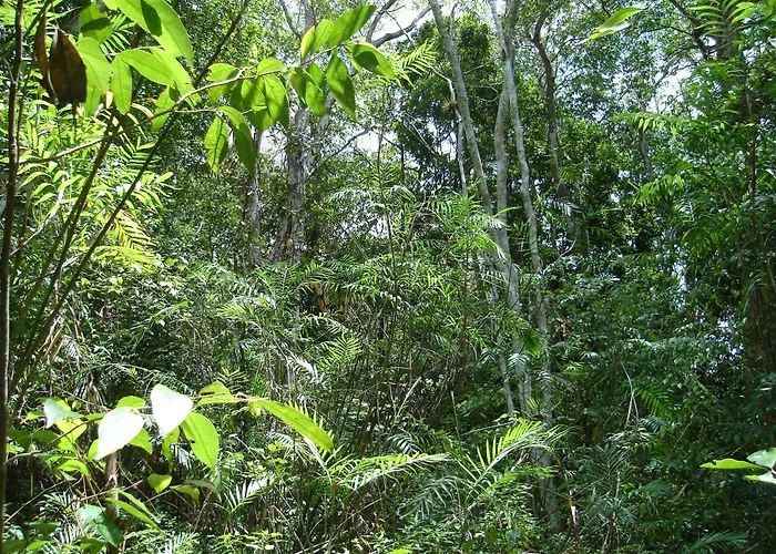 Casa Aleman