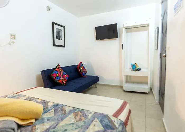 Suite 9 Maga