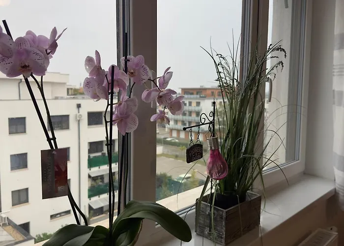 Csaladbarat Lakas Szombathely Sziveben