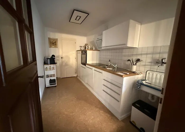 Ferienwohnung Zum Leoparden Im Herzen Von Erfurt - Ueber 100Qm