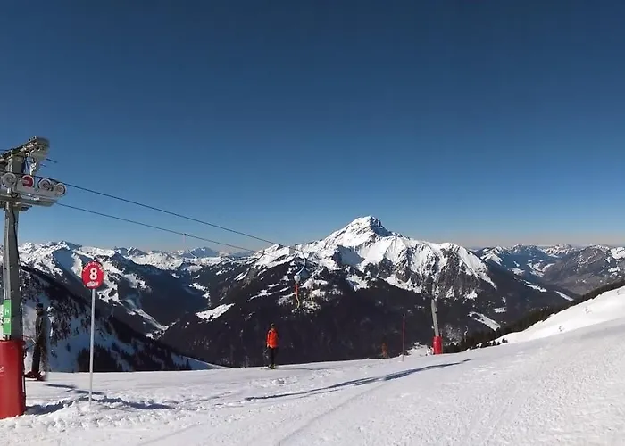 Modern Apartment In Chatel With Fantastic Views