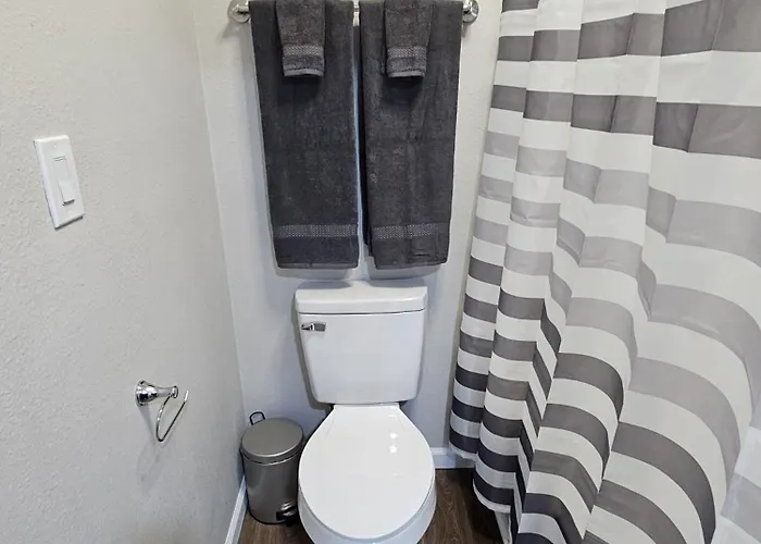 The Comfort Cove