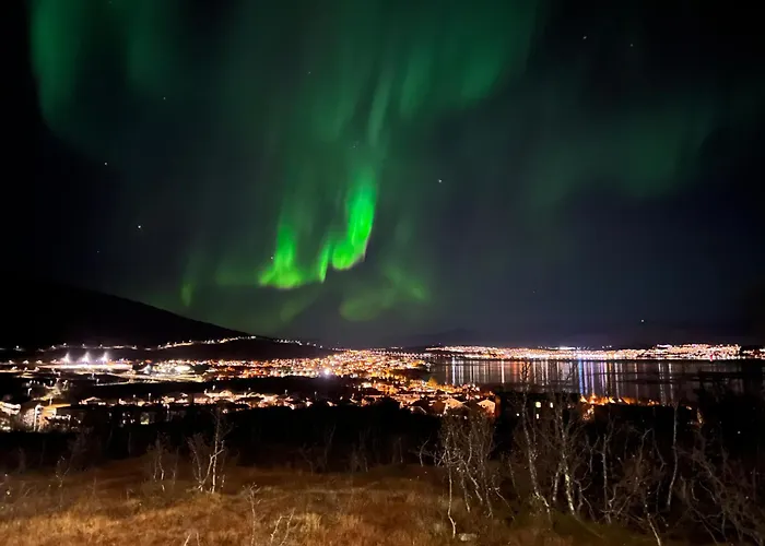 Aurora North