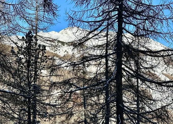 Studio Au Pied Des Pistes Avec Terrasse