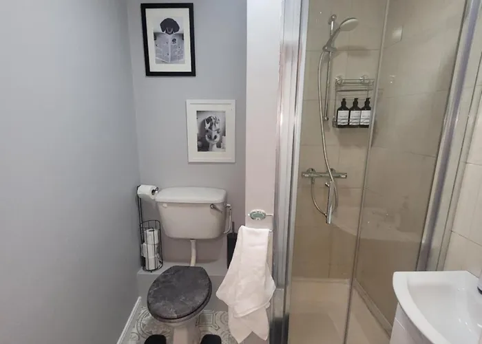 Quirky Tiny Apartment In Kerry