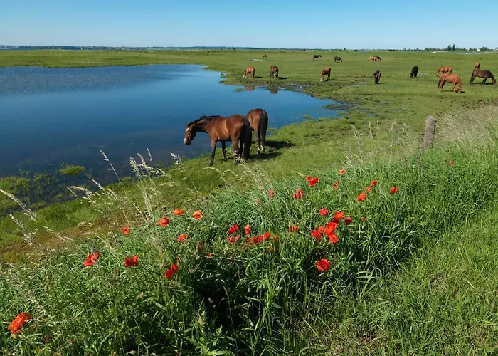 Ferienanlage Poschmann Fischerstube