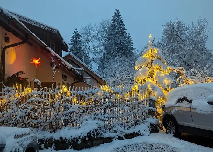 Gemuetliche Waldrandlage In Badenweiler Sehringen Ferienwohnung