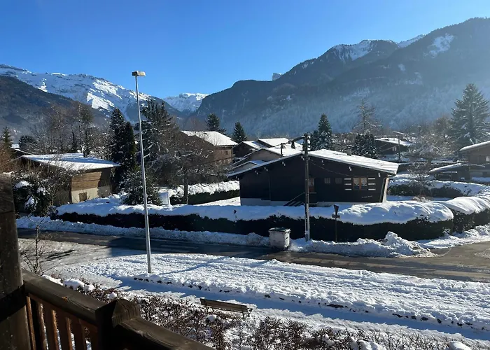 Le Chardon Argente T4 Duplex 4 Etoiles - 7 Couchages - Parking&Piscine