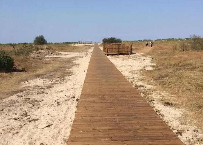 Strandnest77