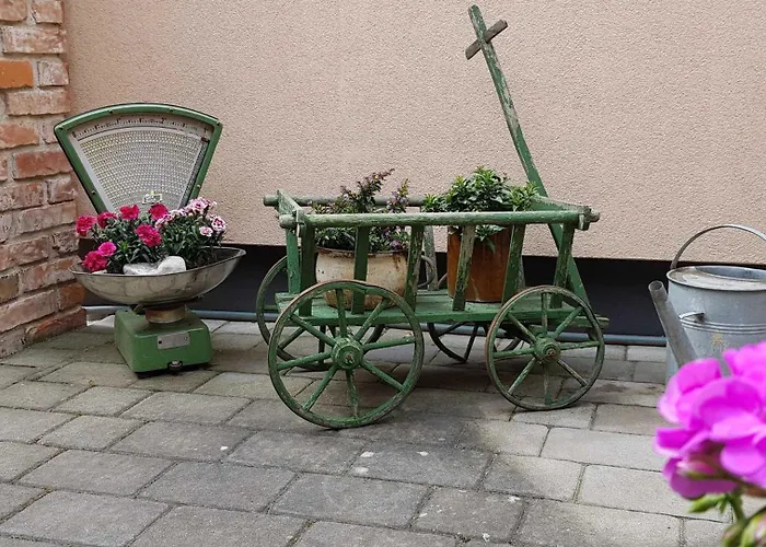 Ferienwohnungen _ Haus Lisa_