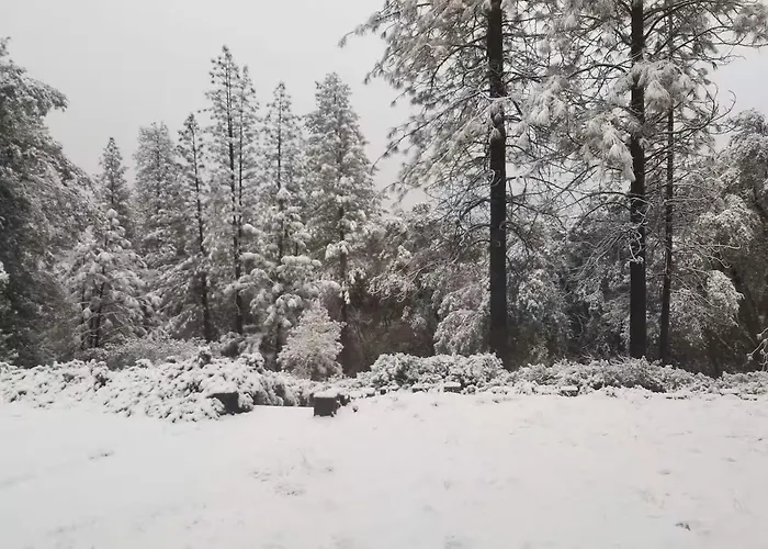 Cody'S Comfy Cabin- Near Yosemite