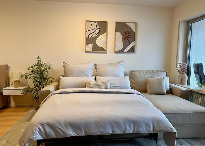 Central Apartment Near Basel - Buisness&Holiday