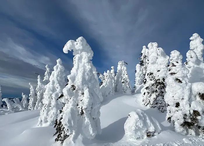Main Village, Ski-In Ski-Out, Hot Tub, Condo