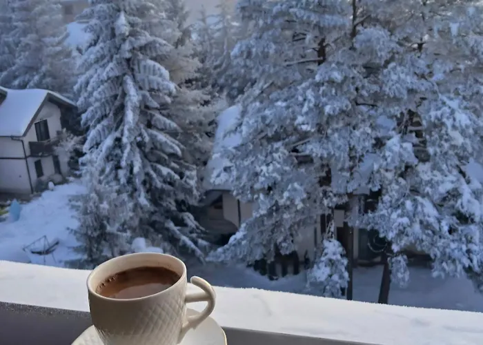 Silver Star Zlatibor