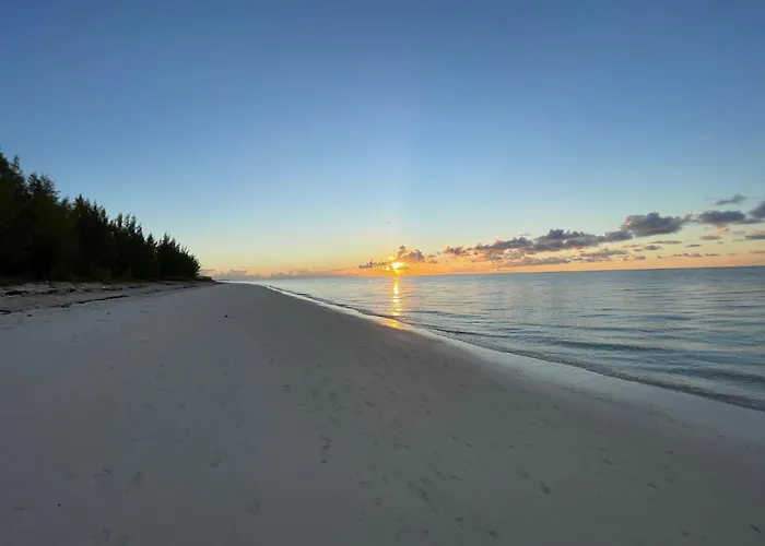 New Stunning Beachfront Condo At The Coral Beach