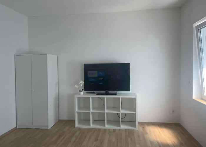 Gemuetliches City Apartment