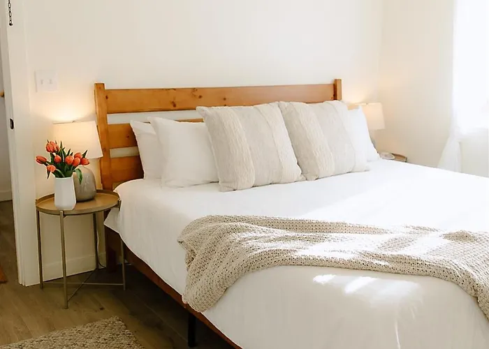 Cozy Downtown Havens