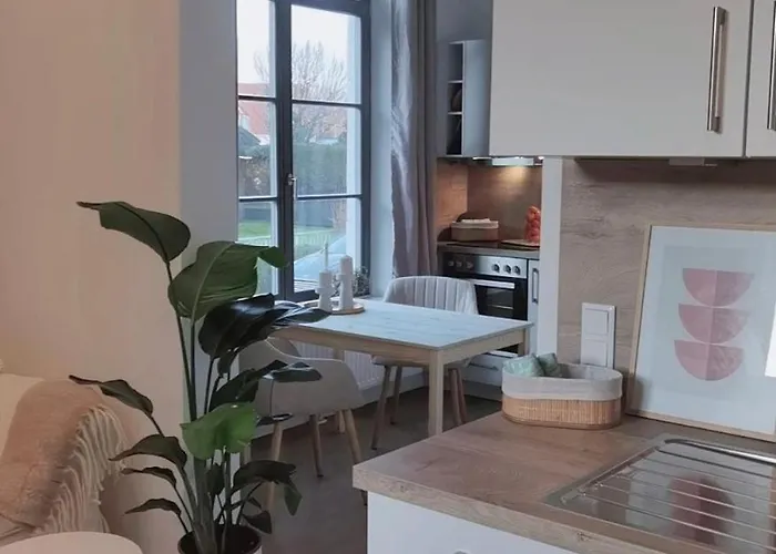 Fewo 1 Zimmer Apartment Barrierefrei In Berne