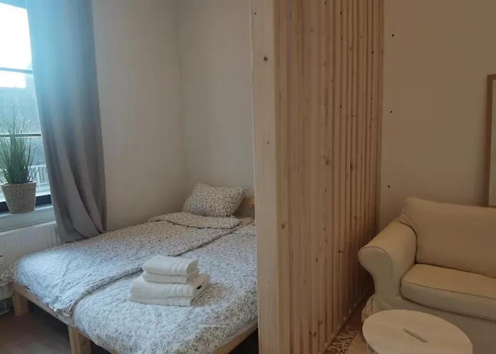 Fewo 1 Zimmer Apartment Barrierefrei In Berne