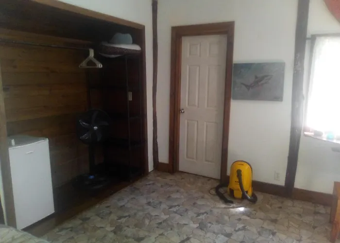 Cabana En La Selva