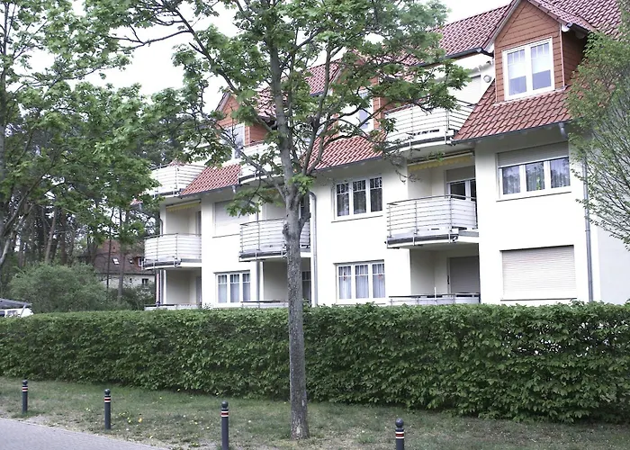 Jore-Fewo In Bad Saarow, 50M Bis Zur Therme